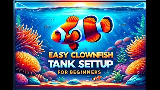 Easy Clownfish Tank Setup for Beginners  StepbyStep Guide [upl. by Naveb]