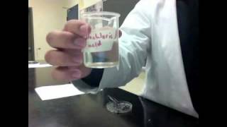 Zinc  Hydrochloric Acid PreLab  STS Students Teaching Students Chemistry Lab [upl. by Banwell693]