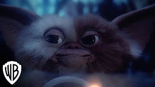 Gremlins  Trailer  Warner Bros Entertainment [upl. by Hayyim]