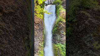 Horsetail Falls Oregon’s Cascading Beauty [upl. by Ytram639]