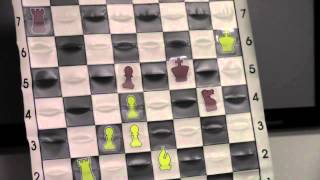 Chess for Beginners with GM Ronen HarZvi  20130203 [upl. by Langham]