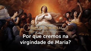 Homilia Dominical  A fé da Igreja sobre a Virgindade de Maria 14º Domingo do Tempo Comum [upl. by Aicile]