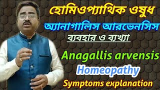 Anagallis arvensis  anagallis arvensis 30 homeopathy medicine  anagallis homeopathy [upl. by Anatniuq623]