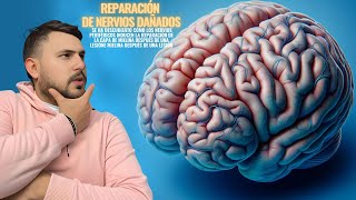 🖖 15 Descubrimientos Científicos que Están Revolucionando Nuestra Comprensión del Cerebro Humano [upl. by Lalitta]