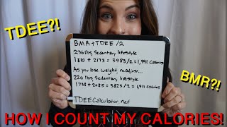 HOW I CALCULATE MY CALORIES For beginner intermittent alternate day fasting [upl. by Abisia631]