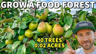 40 FRUIT TREES On 002 ACRES Turn ANY Size Yard Into A Thriving FOOD FOREST [upl. by Annaihs]