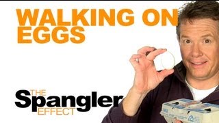 The Spangler Effect  Walking on Eggs Season 01 Episode 43 [upl. by Hoshi]