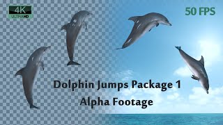 Dolphin Jumps Package 4K alpha footage [upl. by Teirtza134]