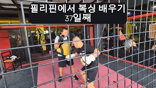 필리핀에서 복싱 배우기 37일째 필리핀클락앙헬레스풀빌라풀빌라펜션골프골프투어카지노스포츠복싱 [upl. by Sharpe]