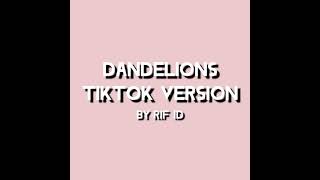 DANDELIONS TIKTOK VERSION Underwater  Slow  Reverb [upl. by Ijan]