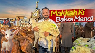 Bakra Mandi in MAKKAH 🐪 🐏 HAJJ 2024 Eid al Adha in Makkah Saudi Arabia [upl. by Clippard]