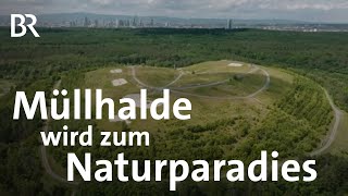 Der Natur überlassen Die Renaturierung einer Mülldeponie  Gute Nachrichten vom Planeten  BR [upl. by Narad]