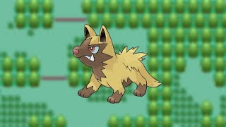 8TH OT SHINY POOCHYENA Reaction 34649 single encounters  PokeMMO [upl. by Stimson160]