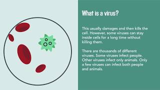 Viral Infections Causes Diagnosis Prevention and Treatment  Merck Manual Consumer Version [upl. by Rovaert429]