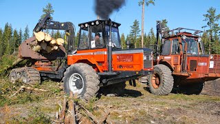 Heavy Classic amp Unique Logging Machines from the 70’s  Still Runs Hard in the Forest [upl. by Akerdnahs]