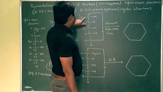 Pyranose Cyclic Structure Of Fructose with Haworth Representation [upl. by Karr251]