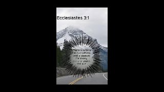 Ecclesiastes 31 learnthebible love jesus bibleverse [upl. by Ydarg505]