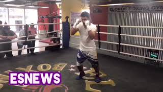 Manny Pacquiao 5 Punch combo is under a second in camp for Broner [upl. by Hannasus]