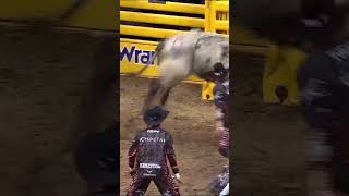 Barrel Racing  2023 Wellington Pro Rodeo  Friday [upl. by Gasparo]