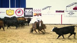 2015 NCHA Futurity Daily Update Nov 19 [upl. by Mattland796]