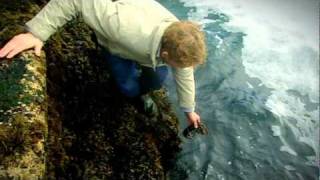 Gordon Ramsay goes Lobster Fishing with Jeremy Clarkson  The F Word [upl. by Ruy]