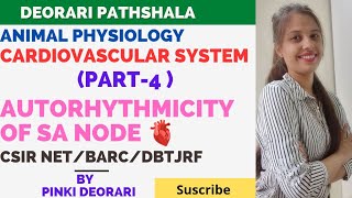 Autorhythmicity of SA Node  Cardiovascular System Part4  Animal Physiology  CSIR NET  GATE [upl. by Ailssa]