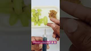 Grapefruit growth satisfying grapefruit coolgrape grapegrowing lifehacks satisfyingfruitcutt [upl. by Yliah]