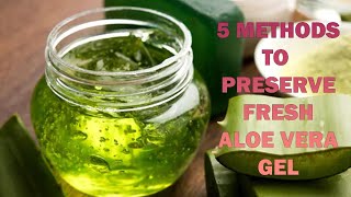 Preserve Aloe Vera Gel At Home [upl. by Mellicent]