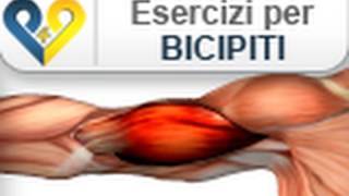 Esercizi Bicipiti Curl con bilanciere [upl. by Casia448]