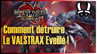 Tuto  Le meilleur set pour farmer le Valstrax Eveillé  Monster Hunter Rise Sunbreak [upl. by Atikel463]