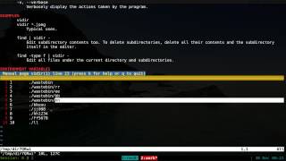 Vidir  Bulk Rename Files  Linux CLI [upl. by Aivital184]