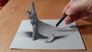 How To Draw A 3d Crocodile [upl. by Kcirnek]