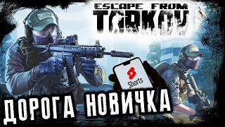 ПОСЛЕДНИЕ СТРИМЫ НА Youtube Escape from Tarkov [upl. by Redvers44]