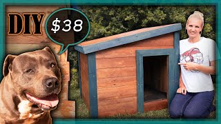 How to Build a Dog Kennel with Pallet Wood★DIY Wooden Pallet Dog House★Making a Warm Paling DogHouse [upl. by Sharity]