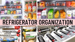 REFRIGERATOR ORGANIZATION IDEAS  Clean Declutter and Organize With Me Budget Fridge Organization [upl. by Ytisahcal]