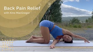 Back Pain Relief with Kino MacGregor [upl. by Edla]