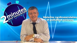 Maladies cardiovasculaires et pollution aérienne  2 minutes pour comprendre [upl. by Eicaj]