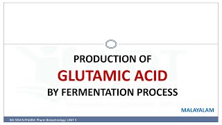 Production of GLUTAMIC ACID by fermentation process MALAYALAM [upl. by Arlinda473]