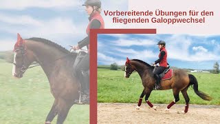 Vorbereitende Übungen für den fliegenden Galoppwechsel [upl. by Oiredised]