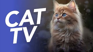 Cat TV  🐠 Fishes and Coral Reef Experience for Cats  20 Hour Petflix Diving Video [upl. by Seidel]