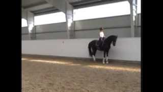 DANTONA  Dressage MA Prix St George level [upl. by Oicneserc]