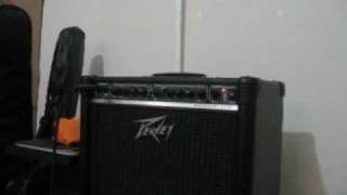 Peavey Envoy 110 Guitar Amplifier Demo [upl. by Heiskell]