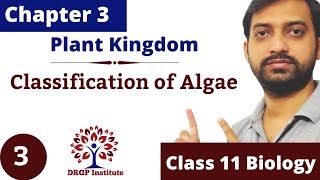 Chapter 3  Plant Kingdom  Classification of Algae  Class 11 CBSE RBSE NCERT Part3 [upl. by Jamie]