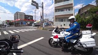 Goldwing 2002 GL1800 白バイに歩行者妨害で切符を覚悟！ が、注意で済んだ・・・。 [upl. by Alwitt]