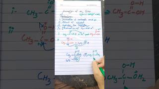 Mechanism of formation of ester organic chemistry class 12 [upl. by Naryt]