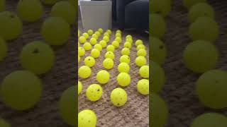 Minions Assemble volosports fyp fypシ foryoupage viral minons pickleball [upl. by Dronel755]