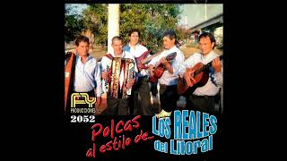 POLKAS AL ESTILO DE LOS REALES DEL LITORAL  Canta El Dúo IBARRADELGADO  Fermin Ybarra Produc [upl. by Peti]