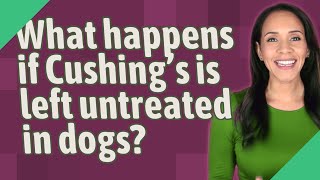 What happens if Cushings is left untreated in dogs [upl. by Millard]