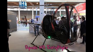 Dynali H3 EasyFlyer Helicopter [upl. by Ppilihp]