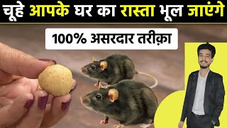 घर से चूहा भगाने का रामबाण तरीका  Chuhe bhagane ka asan trika  Get rid of rats  rat trap [upl. by Amend873]